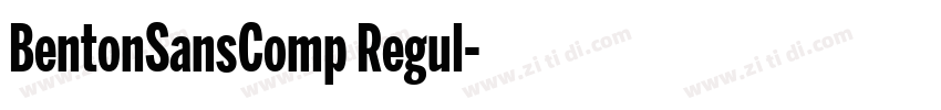 BentonSansComp Regul字体转换